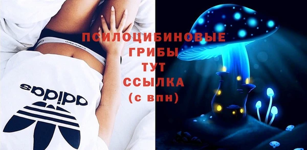 гидра Алзамай