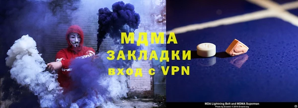 индика Алексин