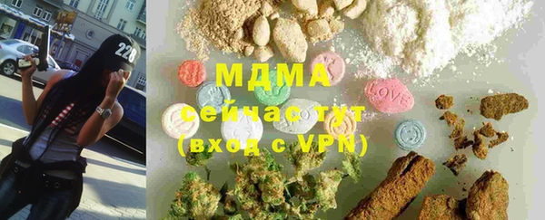 индика Алексин