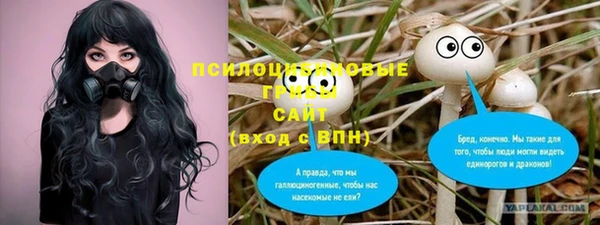 индика Алексин