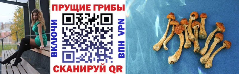 Псилоцибиновые грибы мухоморы  Сатка 