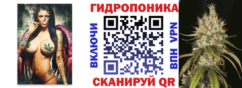 Каннабис сатива Сатка
